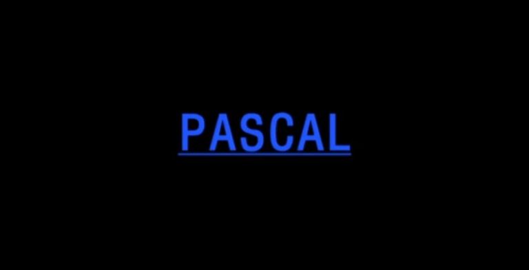 PASCAL by Hyo Gun