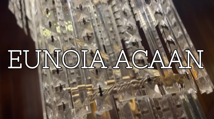 EUNOIA ACAAN <br/> (by 태영)