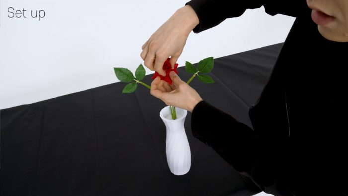 <b>낙:화</b> <br/>(Tears of Rose by JELO Creative Lab & J.Rong) - 이미지 5