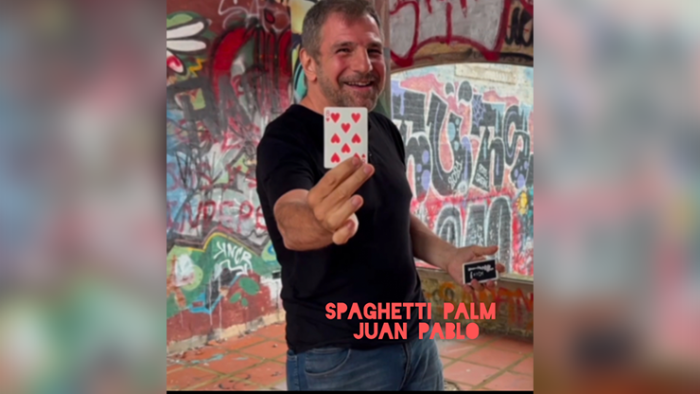 <b>스파게티 팜</b> <br/>(Spaghetti Palm by Juan Pablo)