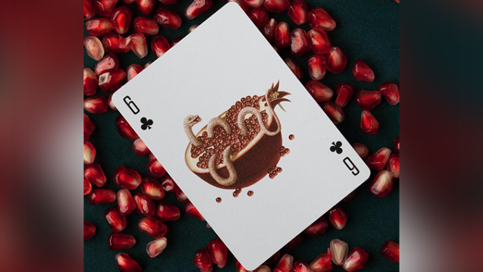 Cabinetarium Playing Cards by Art of Play - 이미지 3