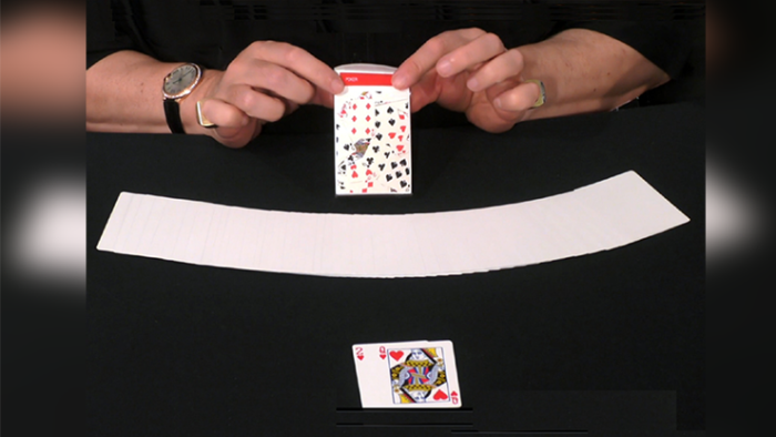 D. DECK (Gimmicks and Online Instructions) by Dominique Duvivier - Trick - 이미지 3