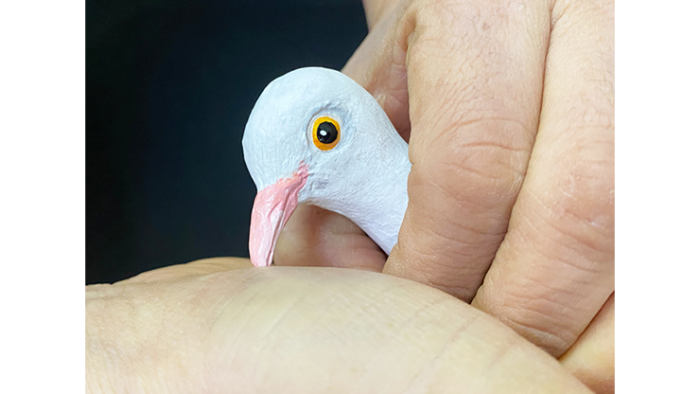 FINGER DOVE by JL Magic - Trick - 이미지 4