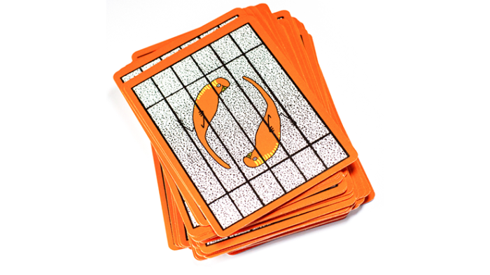 Budgie! Playing Cards - 이미지 4