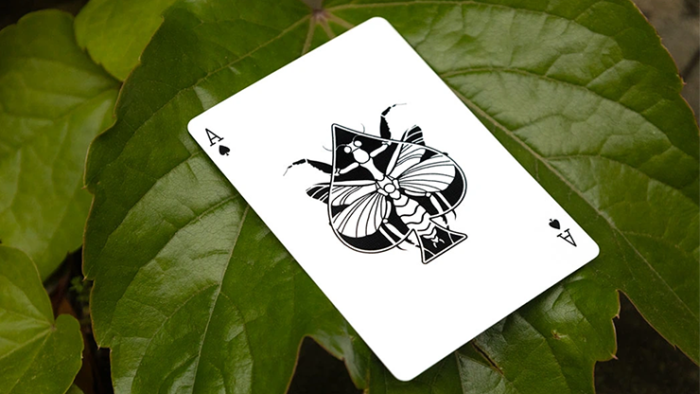 Mantis Playing Cards (Marked) - 이미지 4