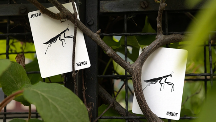 Mantis Playing Cards (Marked) - 이미지 3