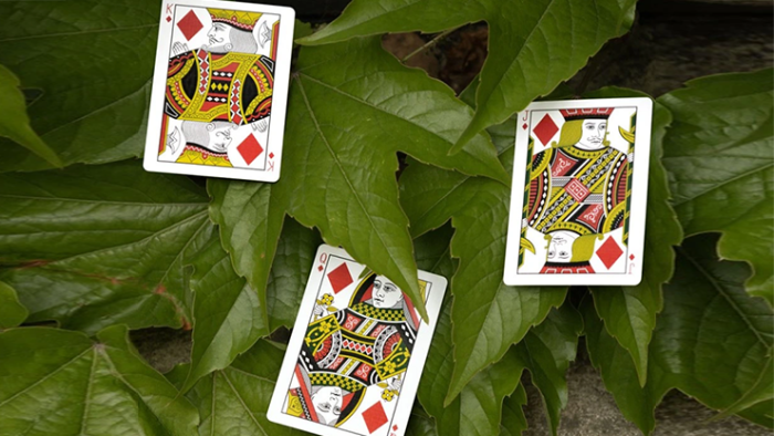 Mantis Playing Cards (Marked) - 이미지 7