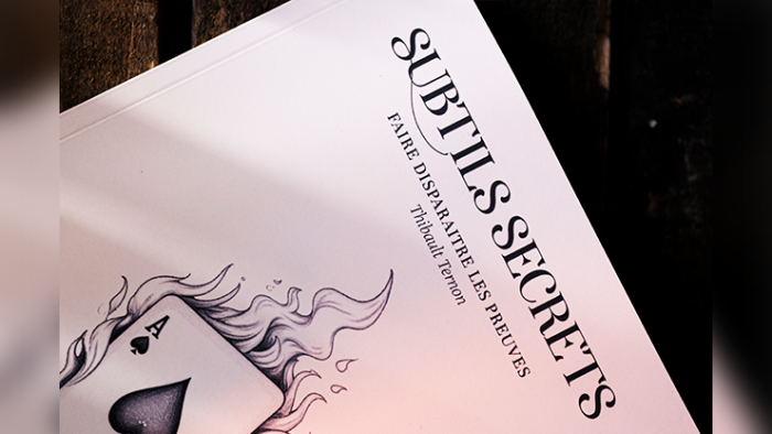 Subtle Secrets 1 by Thibault Ternon - 이미지 3